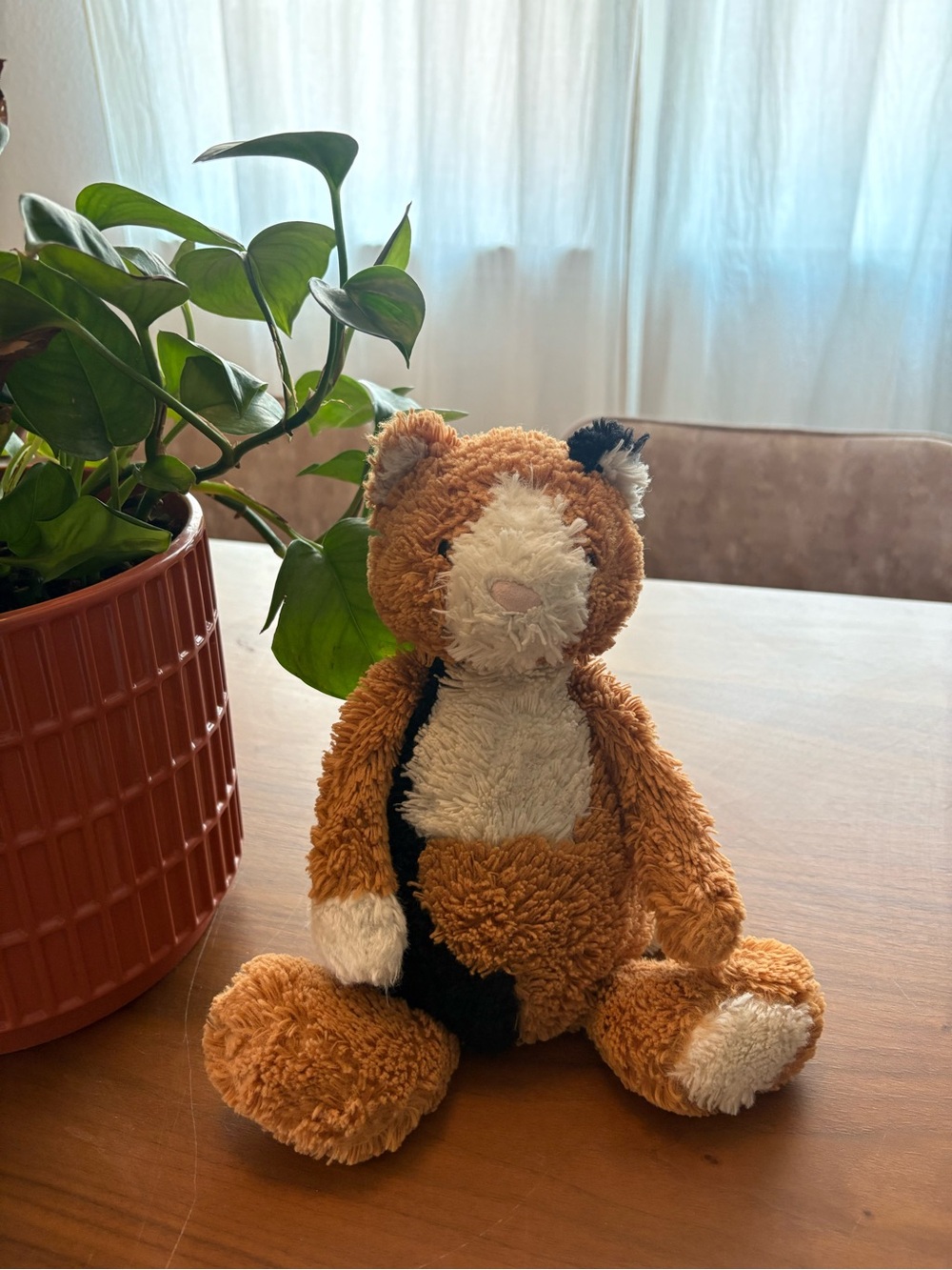 Bashful Calico Kitty Jellycat